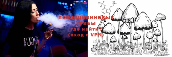 PSILOCYBIN Баксан