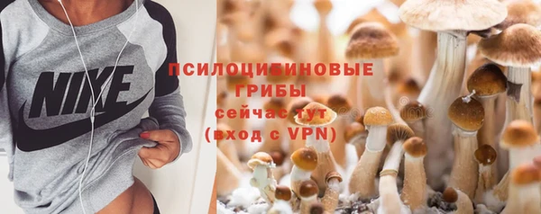 МДПВ Россошь